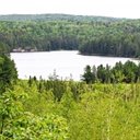 Algonquin Provincial Park