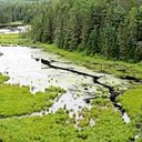 Algonquin Provincial Park