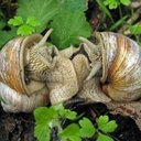 Forms of life II