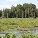 Algonquin Provincial Park