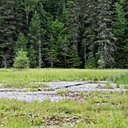 Algonquin Provincial Park