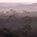 Amazonia - puszcza