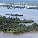 Amazonia - rzeki