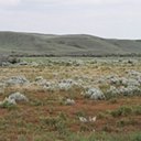 Grasslands National Park