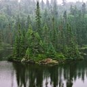 Northwoods