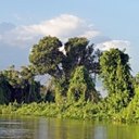 Pantanal