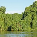 RPPN SESC Pantanal (Reserva Particular do Patrimônio Natural)