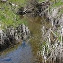 Scanlon Creek Conservation Area