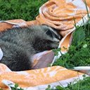 Spotkania z człowiekiem