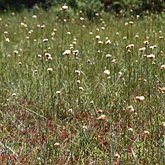 Algonquin Provincial Park