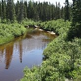 Northwoods